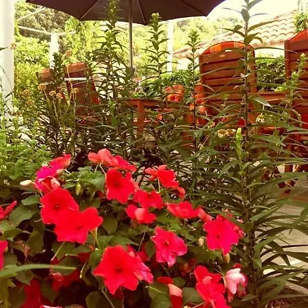 Хостел Stone Gardens *