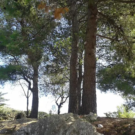 Ostello Stone Gardens *